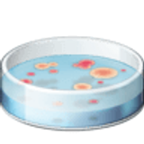 Petrischale - Facebook