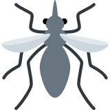 Mücke - Twitter / X