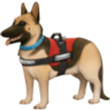 Assistenzhund - Facebook