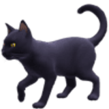 Schwarze Katze - Facebook