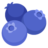Blaubeeren - Noto Color Emoji