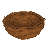 Leeres Nest Whatsapp