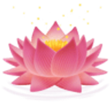 Lotusblüte - Facebook