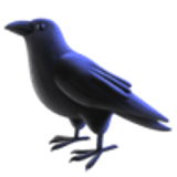 Schwarzer Vogel - Facebook