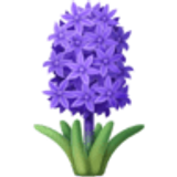 Hyazinthe - Facebook