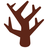 Kahler Baum - Twitter / X