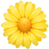 Gelbe Blüte - Facebook