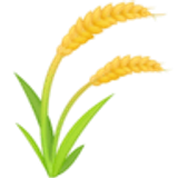 Reisähre - Facebook