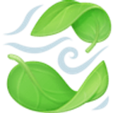 Blätter im Wind - Facebook