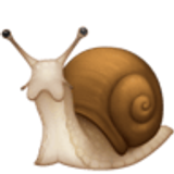 Schnecke - Facebook