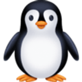 Pinguin - Facebook