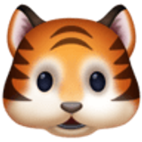 Tigergesicht - Facebook