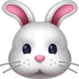 Hasengesicht - Facebook