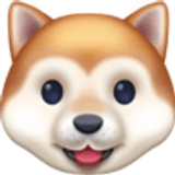 Hundegesicht - Facebook