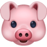 Schweinegesicht - Facebook