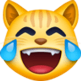 Katze mit Freudentränen - Facebook