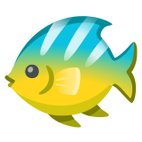 Tropenfisch - Noto Color Emoji
