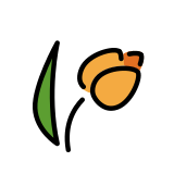 Tulpe - OpenMoji