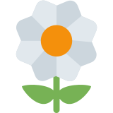 Gelbe Blüte - Twitter / X