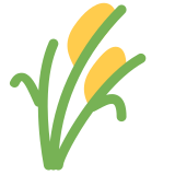 Reisähre - Twitter / X