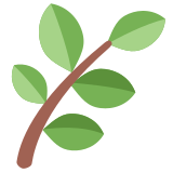 Kräuter - Twitter / X