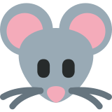 Mäusegesicht - Twitter / X