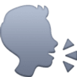 Sprechender Kopf - Facebook