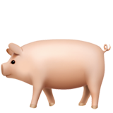 Schwein Emoji