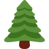 Nadelbaum - Twitter / X