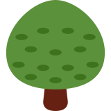 Laubbaum - Twitter / X