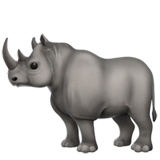 Nashorn