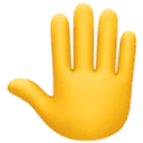 Erhobene Hand von hinten - Facebook