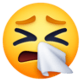 Niesendes Gesicht - Facebook