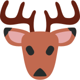 Hirsch - Twitter / X