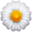 Weiße Blume Emoji U+1F33C Weiße Blume Emoji U+1F33C