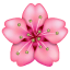 Pinke Blume Emoji U+1F338 Pinke Blume Emoji U+1F338