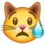 Weinende Katze Smiley U+1F63F Weinende Katze Smiley U+1F63F