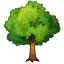 Laubbaum Emoji Whatsapp U+1F333 Laubbaum Emoji Whatsapp U+1F333