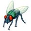 Fliege Whatsapp U+1FAB0 Fliege Whatsapp U+1FAB0