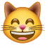 Grinsendes Katzengesicht Whatsapp U+1F638 Grinsendes Katzengesicht Whatsapp U+1F638