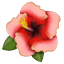 Hibiskus Emoji U+1F33A Hibiskus Emoji U+1F33A