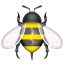 Biene Emoji Whatsapp U+1F41D Biene Emoji Whatsapp U+1F41D