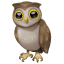 Eule Emoji Whatsapp U+1F989 Eule Emoji Whatsapp U+1F989