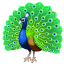 Pfau Emoji U+1F99A Pfau Emoji U+1F99A