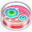 Petrischale Emoji U+1F9EB Petrischale Emoji U+1F9EB