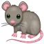 Ratte Graue Maus Whatsapp U+1F400 Ratte Graue Maus Whatsapp U+1F400