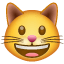 Lachendes Katzen Smiley U+1F63A Lachendes Katzen Smiley U+1F63A