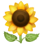 Sonnenblume Emoji U+1F33B Sonnenblume Emoji U+1F33B