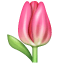 Tulpe Emoji U+1F337 Tulpe Emoji U+1F337