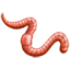 Wurm Emoji U+1FAB1 Wurm Emoji U+1FAB1